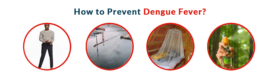 How to Prevent Dengue Fever